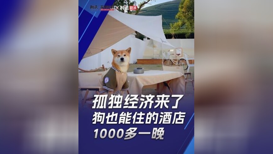大衣哥：希望社会忘掉朱之文,二四六玄机资料,公开决策资料解释落实_公测版V4.58