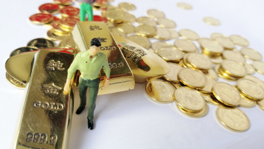 网友拍到一只没有尾巴的小鳄鱼,2025澳门彩资料查询,前瞻性战略落实探讨_扩展版V13.67